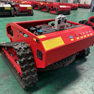 Cortadora de Césped Automática a Gasolina con Control Remoto, Mini, para Jardín y Hogar, <span class=keywords><strong>Precio</strong></span> Económico - Product Image 2