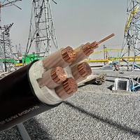 Kabel Tembaga WDZB-YJY LSZH 0.6/1KV-XLPE Berinsulasi Tahan Api Kelas B untuk Tenaga Fotovoltaik