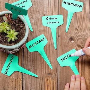 Étiquette succulente en plastique de Type T pour plante de fleur de jardinage réutilisable imperméable pour plante de fleur de légumes signes d'herbes pour étiqueter les plantes - Product Image 5