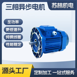 Moteur à engrenages Dingyi triphasé 250W 370W YS 7114 YS 7124 pour équipement mécanique - Product Image 5