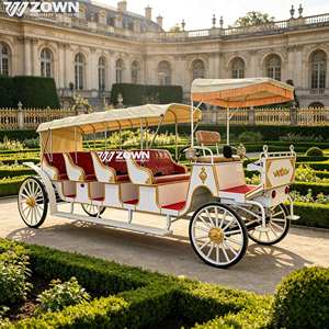 Carroza turística eléctrica negra estilo Princesa Cenicienta, fabricada en China, tipo Victoria. - Product Image 1
