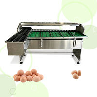 Clasificador de Huevos de Acero Inoxidable de Grado Alimenticio con Cinta Transportadora