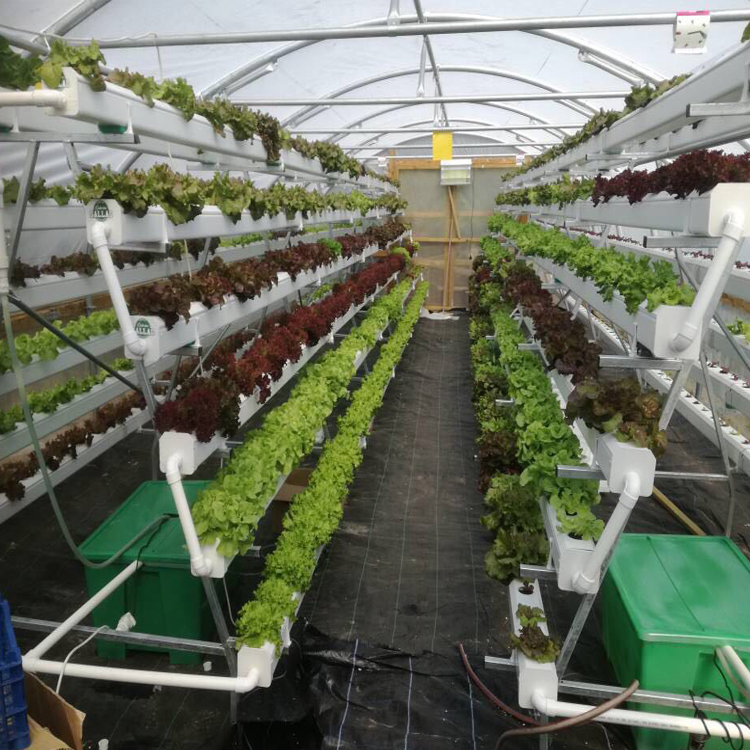 Automated Farm Irrigation System Greenhouse Movable