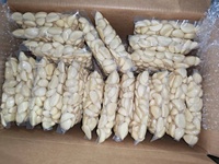 Ail frais chinois pelé, ail blanc frais en gousses, emballage sous vide à l'azote, fournisseur d'ail frais optimal