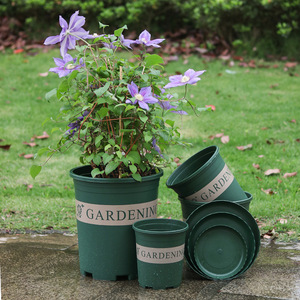 Macetas de Plástico Verdes para Plantas, Flores y Suculentas en el Jardín - Product Image 1