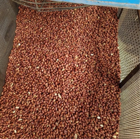 Cacahuetes Tostados Naturales con Piel, Ligeramente Salados, Suministro a Granel de Fábrica en Vietnam