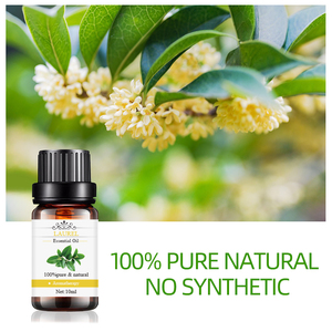Usine en vrac <span class=keywords><strong>prix</strong></span> de gros saveur naturelle soin des cheveux graines huile de baies <span class=keywords><strong>laurier</strong></span> feuille de <span class=keywords><strong>laurier</strong></span> huile essentielle pour savon - Product Image 5