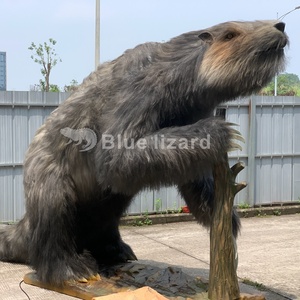 Prehistoric Electric Animal Simulation <strong>Folivora</strong> Model for Indoor Decoration - Product Image 5