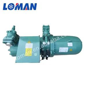 Almanya orijinal yarı hermetik soğutma kompakt Bitzer vidalı kompresör CSH7581-100Y CSH7583-100Y CSH7583-100Y-40P 100 HP