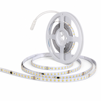 Lampu Strip LED 24V 2835 126LED/m 8mm 3000K Putih Hangat IP20 Remote Control Dapat Diredupkan untuk Pencahayaan Kabinet Dalam Ruangan
