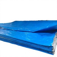 Bâche en PE imperméable laminée et enduite, résistante aux déchirures, pour couverture d'usine (vente en gros)