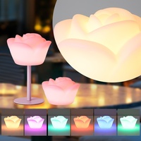 Nouvelle Lampe de Table LED Moderne en Fer Rose, Ambiance Romantique Intérieure, Veilleuse PE Télécommandée, Éclairage 16 Couleurs, Petite, Respectueuse des Yeux, DC