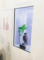 Offre Spéciale 32 pouces haute résolution et haute luminosité 1920x1080 FHD transparent d'écran D'AFFICHAGE à cristaux liquides DE vitrine pour le Magasin de luxe