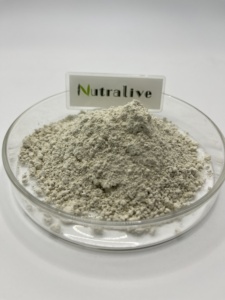 Cibo per uso sanitario fornitura di proteine in polvere 100% naturale estratto vegetale organico di semi di girasole olio in polvere - Product Image 2