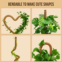 Poteau en mousse flexible pour plantes grimpantes d'intérieur - Supports de plantes hautes