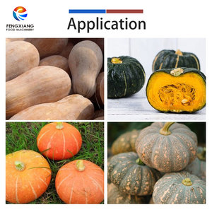Machine à dénoyaouter les citrouilles à double tête, équipement de retrait de la pulpe pour le traitement des courges, usage en usine alimentaire - Product Image 5