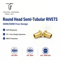 Rivets semi-tubulaires à tête ronde en aluminium TianFang pour la production de volets de ventilation, finition anodisée, approvisionnement stable par lots
