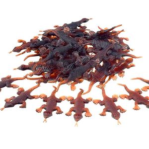 Cao su co giãn vẽ thằn lằn Mô hình đồ chơi khăm Mô Hình Halloween đáng sợ Con Rết sửa chữa đồ chơi nhỏ màu đen - Product Image 6