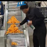 Volledig automatische LTK merk aardappelchips- en knapperige fruit- en groentefriteuse, 100 kg capaciteit, snackverwerkingslijn, op maat gemaakt