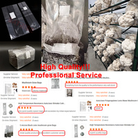 Bolsas de Cultivo de Hongos PP Autoclavables con Filtro Transpirable para Cultivo de Hongos Oyster y Shiitake