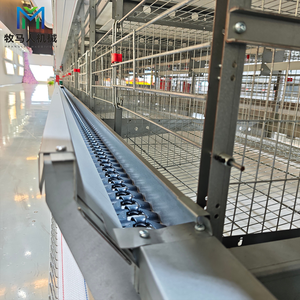 맞춤형 대용량 산업용 대규모 자동 신형 H형 상업용 닭장 수출 농장 프로젝트 - Product Image 3