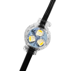 Nuevo Producto: Luz LED RGB de PVC de 12V UCS2904, Luz Puntual de 30mm, IP68, Luces Navideñas Permanentes para Decoración del Hogar - Product Image 3