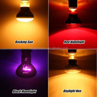Lampe chauffante infrarouge R63 R80 25W-100W, ampoule infrarouge réfléchissante pour reptiles, lampe chauffante de nuit rouge pour tortue, poulailler