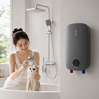 Chauffe-eau électrique sans réservoir 6KW mural à chauffage instantané avec contrôle de température réglable