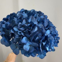 Fabrieksgroothandel decoratieve gedroogde en geconserveerde grote blad hortensia's, eeuwige blauwe hortensia bloemen voor Kerstmis en Valentijnsdag