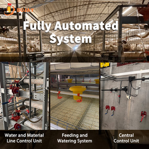 Ampio Pollaio Automatico a Forma di H per Allevamento di Polli da Carne - Dotato di Sistema di Alimentazione e Abbeveraggio - Product Image 5