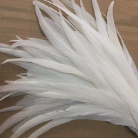 Grandes plumes blanches de coq pour artisanat, bricolage, costumes, accessoires de chapeau, décorations de fête, carnaval, mariage