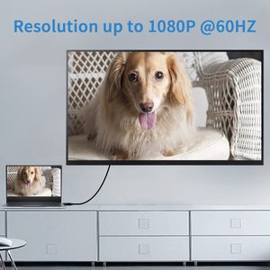 Adaptateur ZOGUO DP vers <span class=keywords><strong>VGA</strong></span>, boîtier ABS plaqué or, 1080P/60Hz pour ordinateur portable, moniteur, projecteur avec longueur personnalisée - Product Image 4