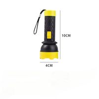 Mini lampe torche portable à clé, économique, en ABS, piles AA, pour situations d'urgence, camping en plein air, LED 3W, autonomie 10000 heures, lumière blanche