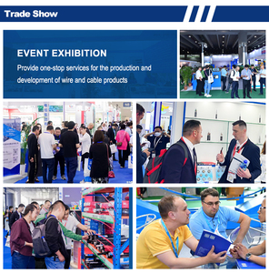 Venta Directa de Fábrica, <span class=keywords><strong>Cable</strong></span> de Soldadura de Cobre Industrial de Alta Calidad, 16MM-350MM, Aislamiento de PVC, 100m de Longitud - Product Image 6