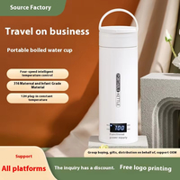 Bouilloire Électrique Portable Personnalisée 500ml en Acier avec Contrôle de Température, Tasse Chauffante Électrique pour Café