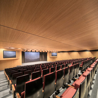MASTER ACOUSTIC Panneau Acoustique Perforé en MDF Décoratif, Revêtement Mural Moderne pour Écoles, Placage Bois Verni, Panneau Rainuré Peint