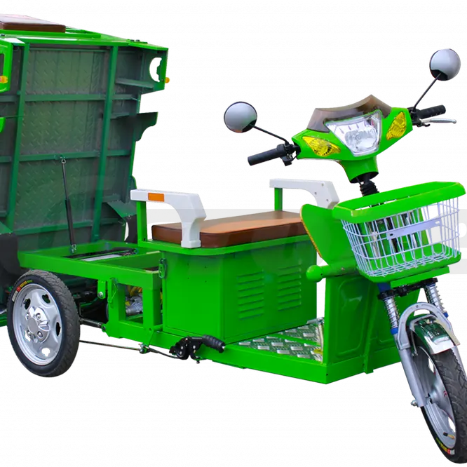 Certificado CEE de carro elétrico adulto carga Pequeno triciclo familiar 850w pedal freight 3 wheels tuk-tuk triciclo elétrico