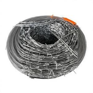 Alambre de Púas Galvanizado Eléctrico Plateado de Alta Calidad, Suministro de Fábrica, 200-300m, Tipo Bobina, para Cercas de Seguridad y Prisiones - Product Image 1