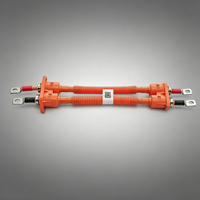 Harnais de câblage haute tension personnalisé pour véhicules électriques, assemblage de câbles orange OEM/ODM pour système de commande de groupe motopropulseur de véhicules électriques
