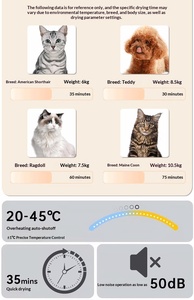 Séchoir automatique pour animaux domestiques, sécheuse à poils entièrement automatique pour chats et chiens - Product Image 5