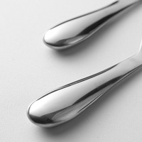 Cuillère à riz en acier inoxydable 316L épaissie, à manche creux, résistante à la chaleur, finition miroir, pour cuisinières électriques domestiques