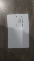 Global International 4G 2G Afrique Iot Simcard Esim Gps Tracker Carte Sim pour Carte de suivi Global pour Internet M2m Iot Cartes Sim