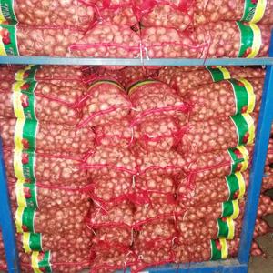 Fresh Red <strong>Onions</strong> &amp; <strong>Onion</strong> Seeds | <strong>China</strong> Imported Wholesale Supply | Premium Fresh Crop - Product Image 3