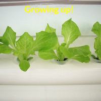 Système de culture hydroponique motorisé avec tubes et pompe à eau pour légumes-feuilles, culture hors-sol sur balcon