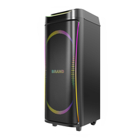 Enceinte portable CSN-102 avec lumières LED RGB, enceinte karaoké sans fil, système audio rechargeable