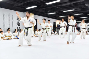 Angtian 스포츠 공장도 가격 무술 매트 유도 MMA 체육관 매트 태권도 레슬링 롤 매트 도매 - Product Image 3