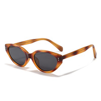 Nouvelle mode crème solaire lunettes de soleil polarisées pour hommes et femmes Internet célébrité Instagram rétro lunettes de soleil yeux de chat