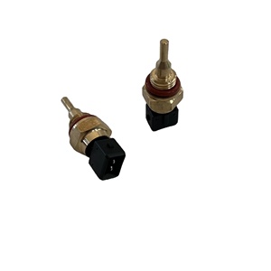 Capteur de température en métal Manny 100013684 - Product Image 1