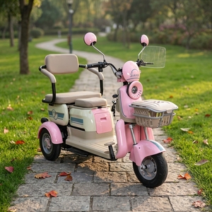Tricycle électrique EEC Trice 300-8 48V à 3 roues en acier avec moteur arrière de 600W pour adultes et personnes âgées, carrosserie ouverte - Product Image 1