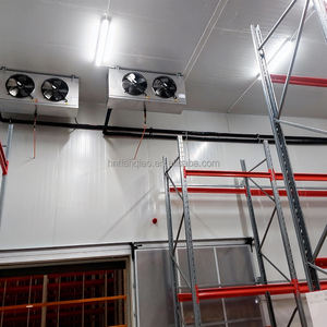 <span class=keywords><strong>ตู้</strong></span>แช่แข็งสำเร็จรูปสำหรับเก็บอาหารทะเล ผลไม้ และผัก พร้อมติดตั้ง <span class=keywords><strong>2</strong></span> <span class=keywords><strong>ประตู</strong></span> ขนาดปรับแต่งได้ คุณภาพสูง - Product Image 6